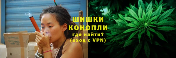 спайс Пересвет
