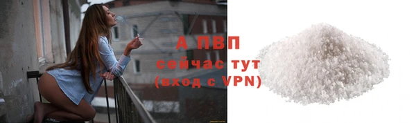 спайс Пересвет