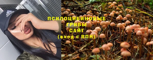 спайс Пересвет