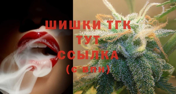 спайс Пересвет