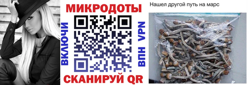 Псилоцибиновые грибы MAGIC MUSHROOMS  купить наркоту  Жуковский 