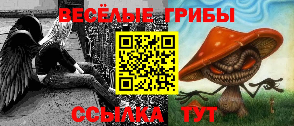 Галлюциногенные грибы Psilocybe  Вход с VPN  Жуковский 