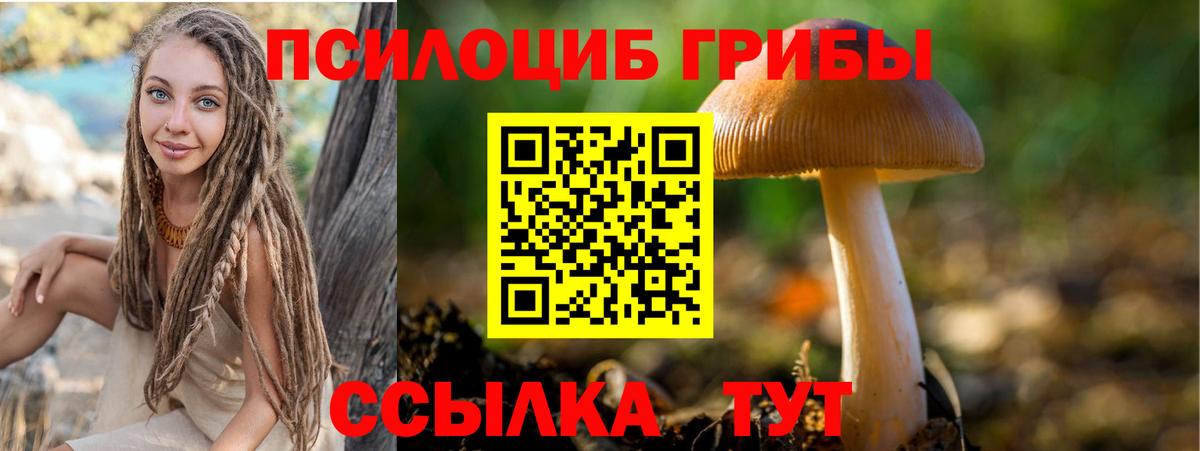 Псилоцибиновые грибы Cubensis Жуковский